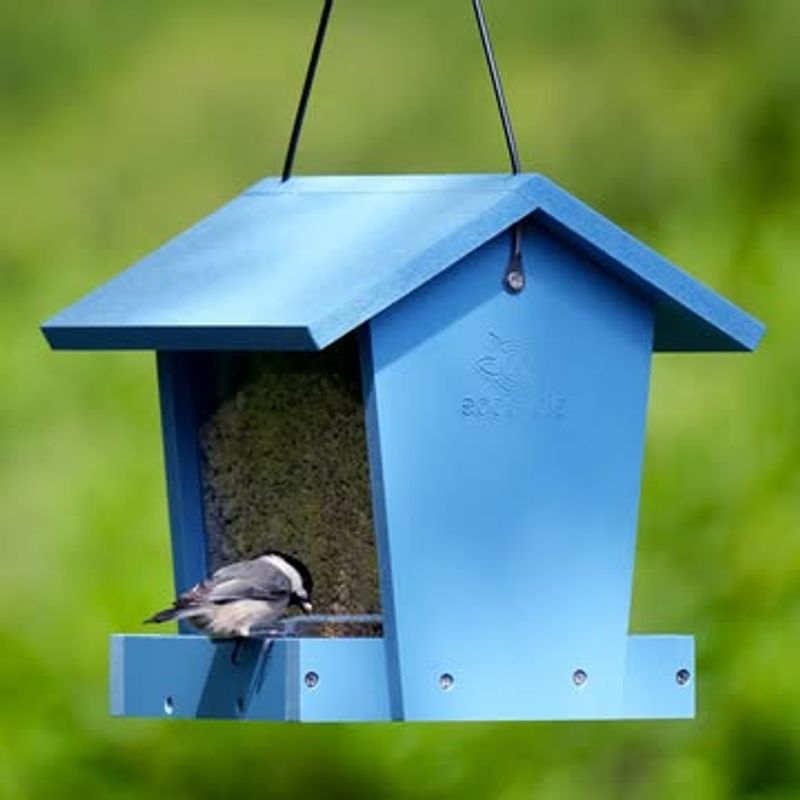 Install a Bird Feeder