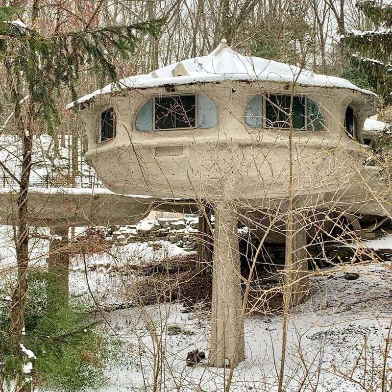 The Mushroom House