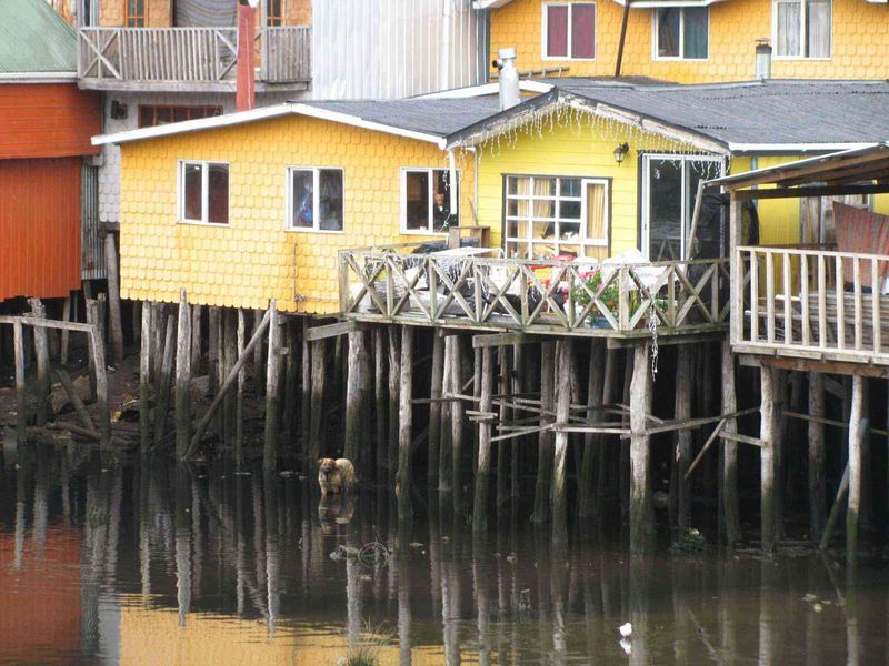 Chilean Coastal House