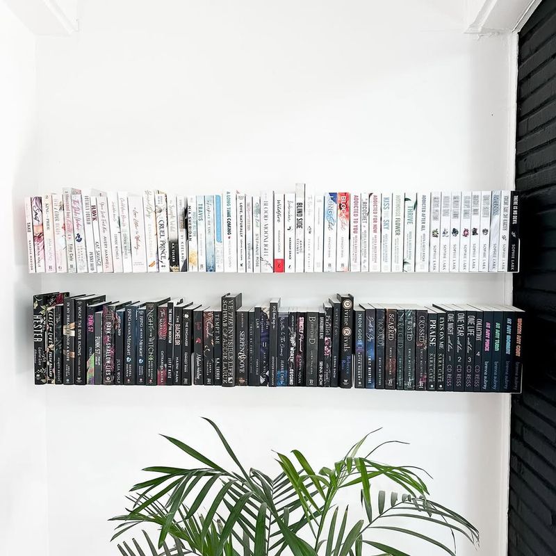 Contrasting Shelving