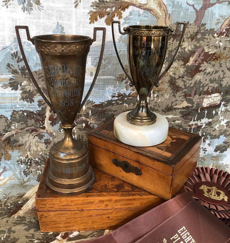 Old Trophies