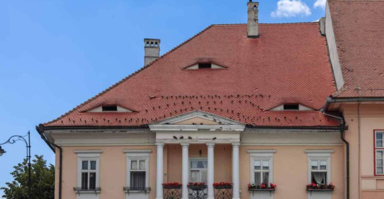 15 Ways Eyebrow Windows Add Unique Character To Homes