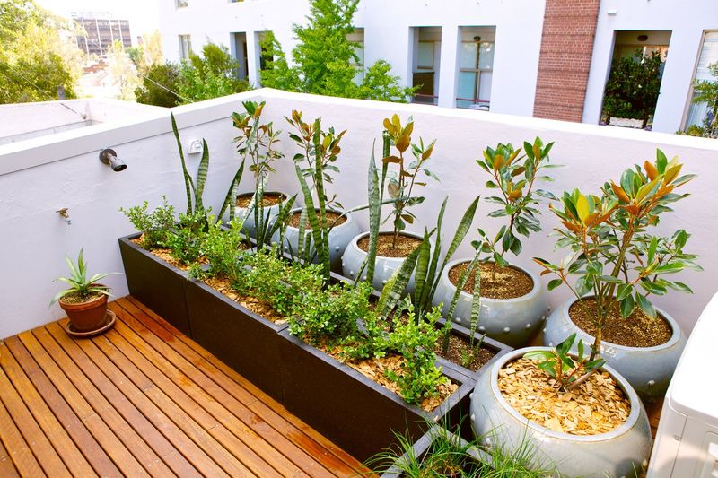 Use Lightweight Pots To Save Your Roof And Your Back