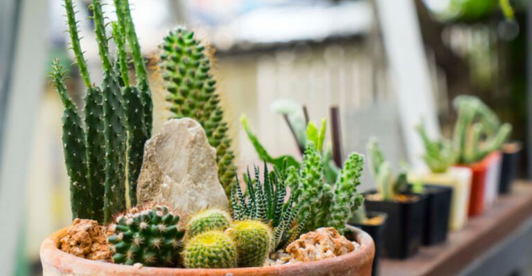 16 Ways To Add Personal Green Spaces To Your Home