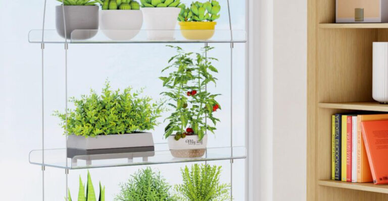 17 Perfect Plant Shelf Ideas For Windows
