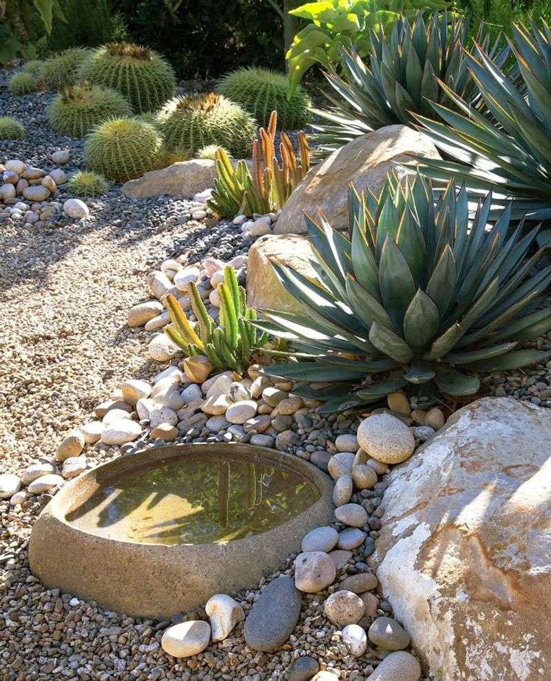 Drought-Tolerant Rock Garden