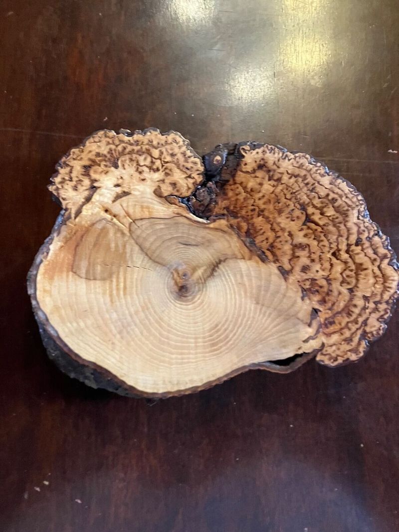 Burl Wood Cheese Board
