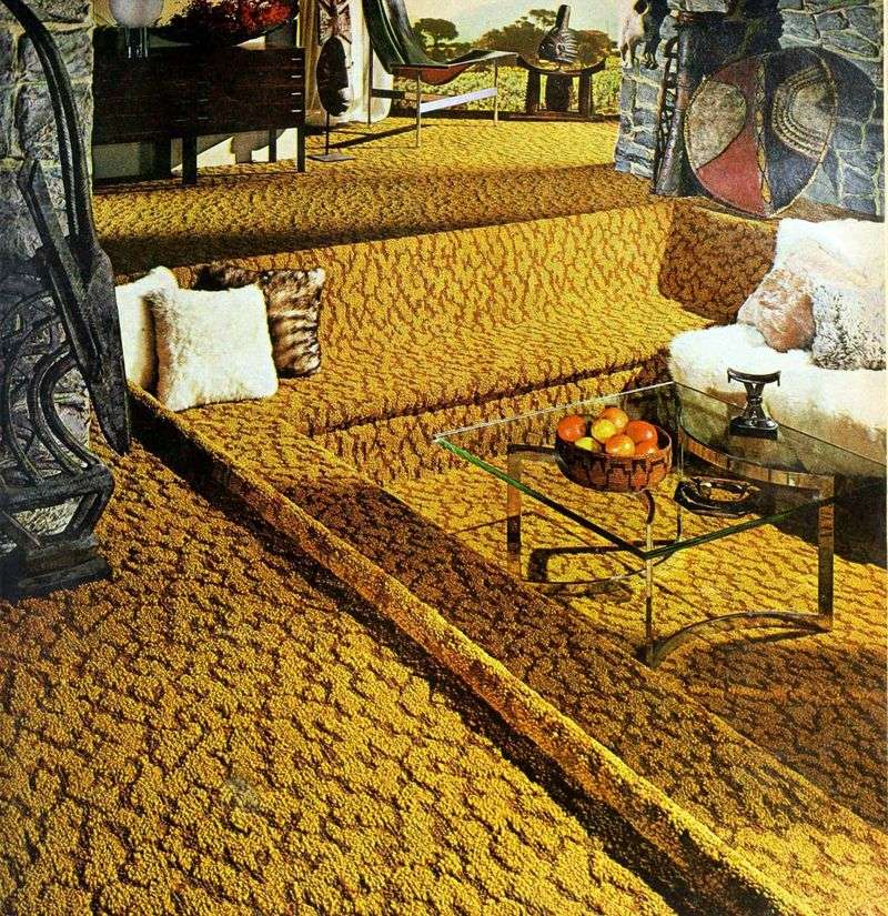 Sunken Living Rooms With Shag Carpeting
