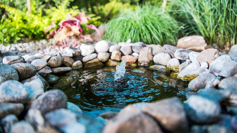 Fancy Water Features