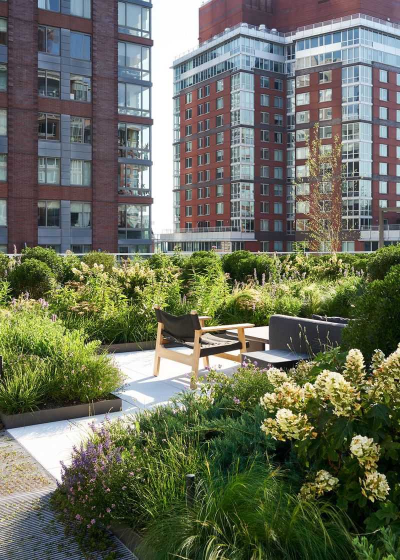 Install A Living Green Roof With Native Plants