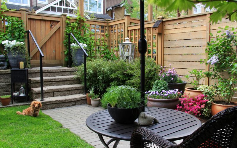 Well-Maintained Garden