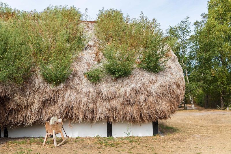 Oregon's Eco-Friendly Forest Thatch