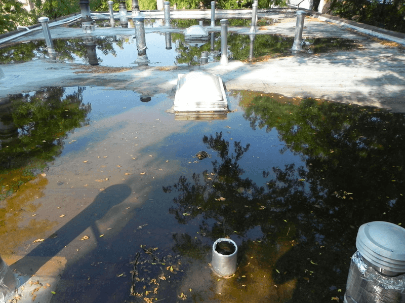 Neglecting Proper Drainage, Which Can Harm Wildlife And Plants