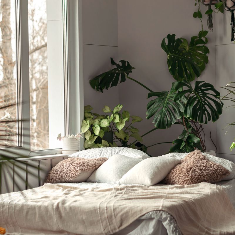 Plants That Add Life