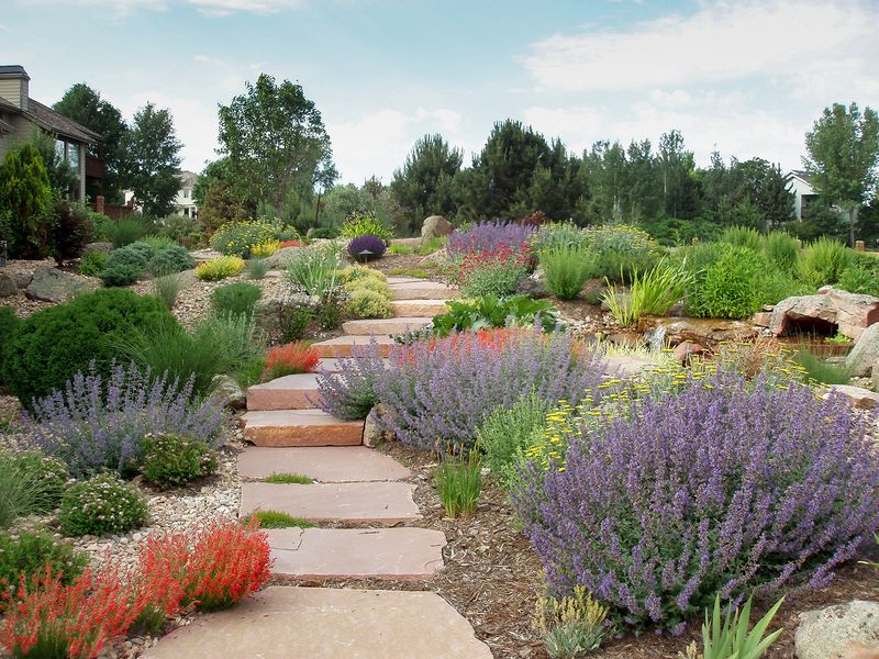 Xeriscaping