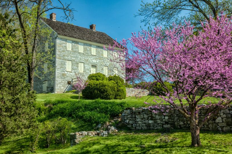 Redbud Hollow – Martinsburg