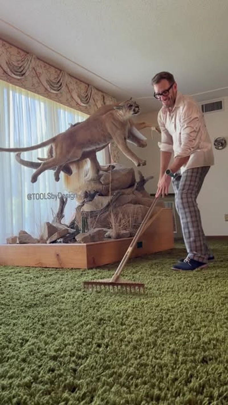 Shag Carpets: A Tactile Time Capsule