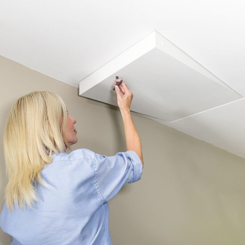 Attic Escapes Through Invisible Entries