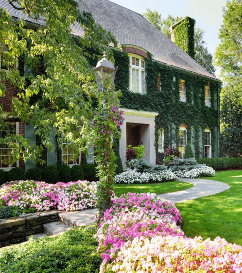Stone Walls With Creeping Ivy