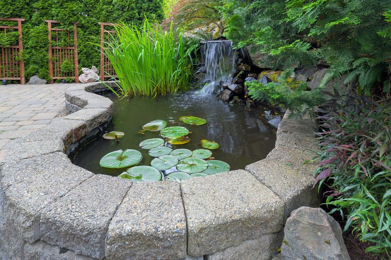 Water Feature Serenity