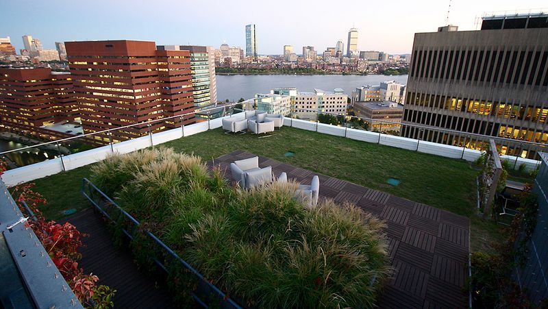 Ignoring Local Regulations Or Guidelines For Green Roof Installation