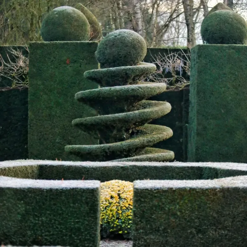 Eccentric Topiary Sculptures