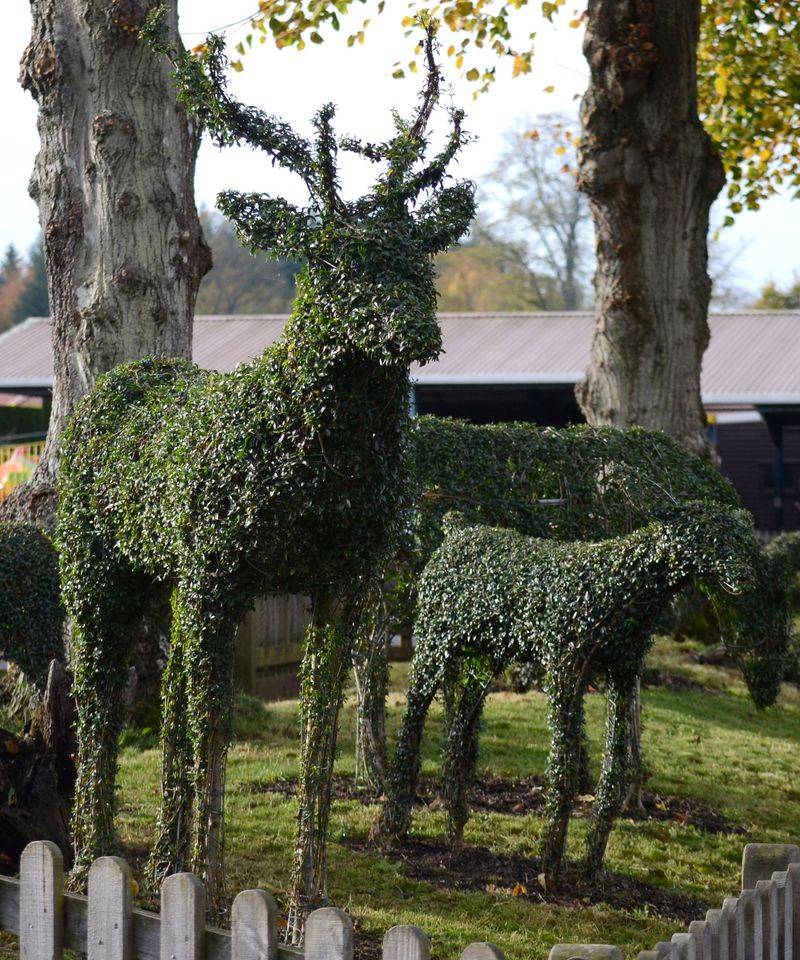 Overzealous Topiary