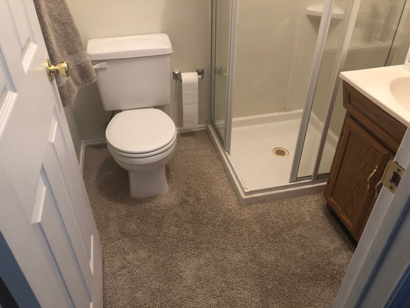 Carpet In The Bathroom