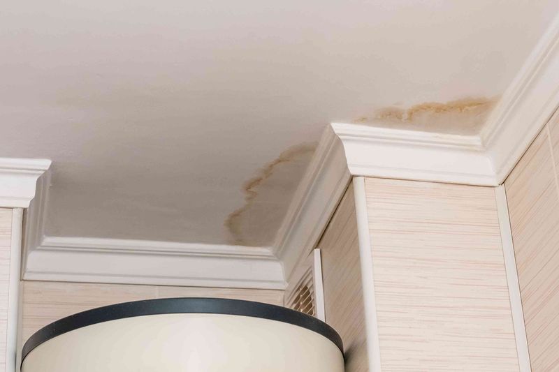 Visible Water Damage