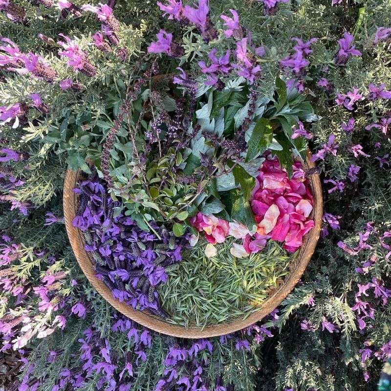 Aromatic Herb Spirals