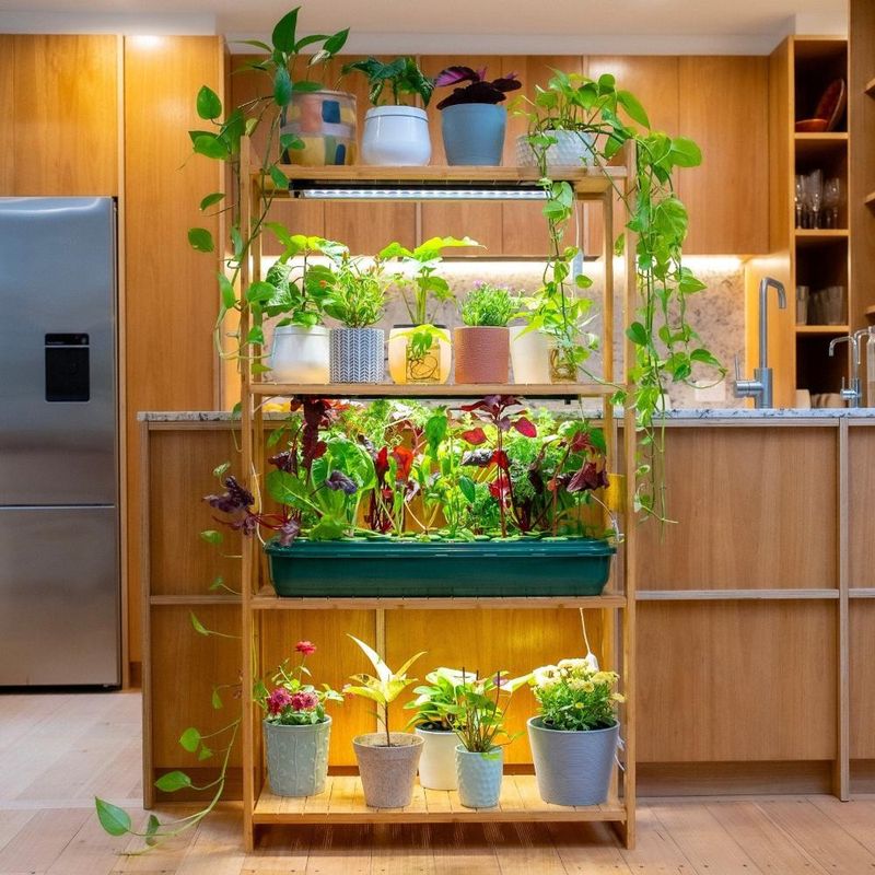 Indoor Herb Gardens