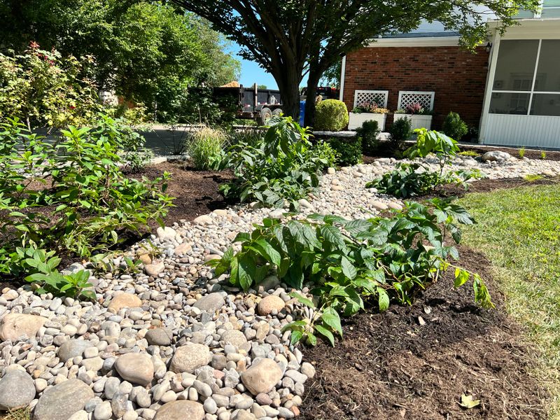 Rain Garden With River Rock