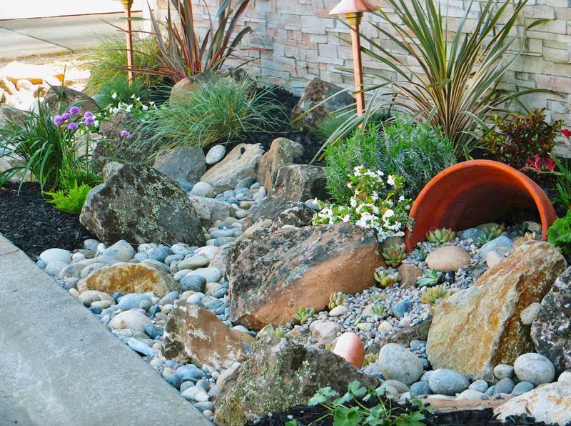 Succulent Rock Garden