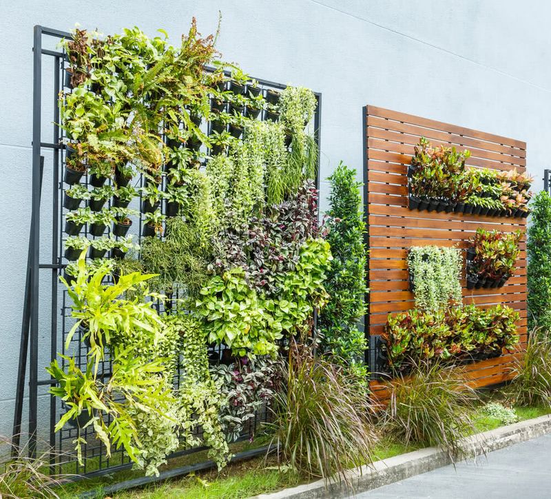 Gravity-Defying Vertical Gardens On Blank Walls