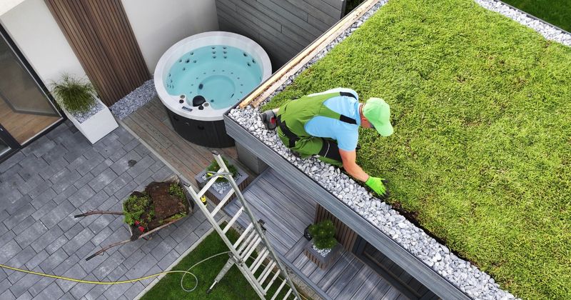 Use Organic Materials And Avoid Chemical Fertilizers Or Pesticides