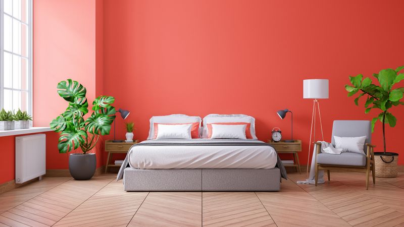 Sunset Coral