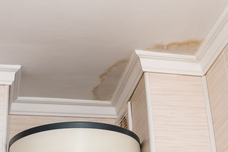 Water Stains and Moisture Issues