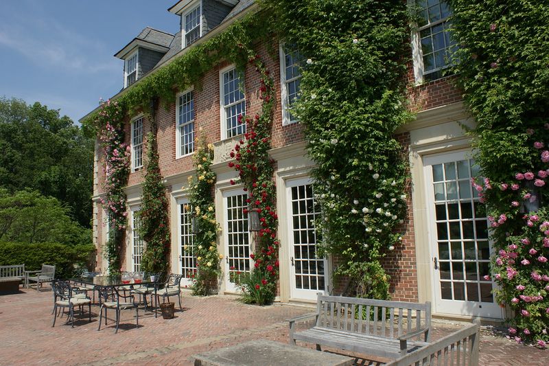 Rose Covered Walls