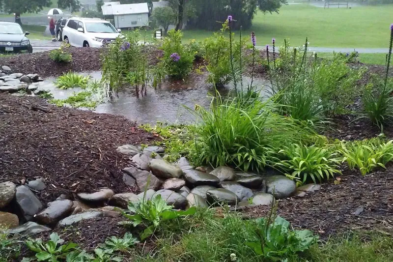 Rain Gardens That Manage Stormwater Stylishly