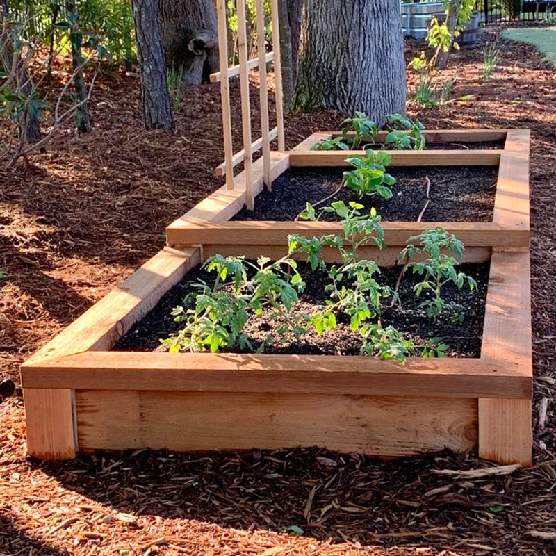 Raised Garden Beds