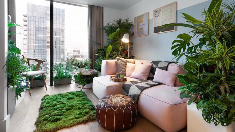 Add Lush Indoor Plants