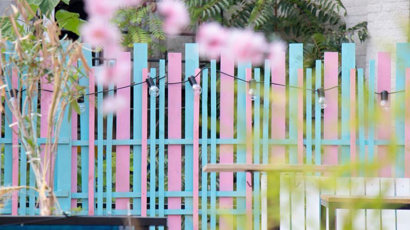 Carnival Color Paint Jobs