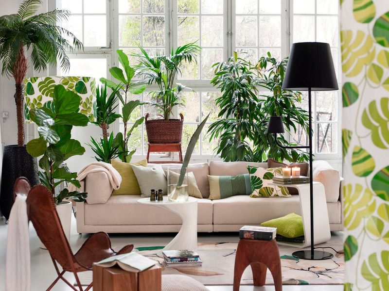 Use Tall Plants To Add Vertical Interest