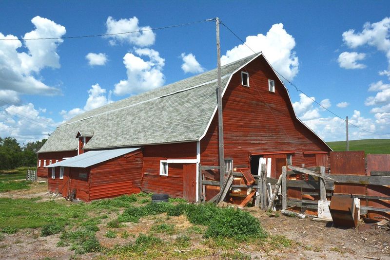 Long View Stock Farm – Gann Valley, SD