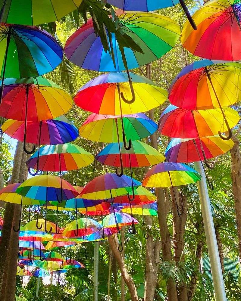 Multicolored Garden Umbrellas