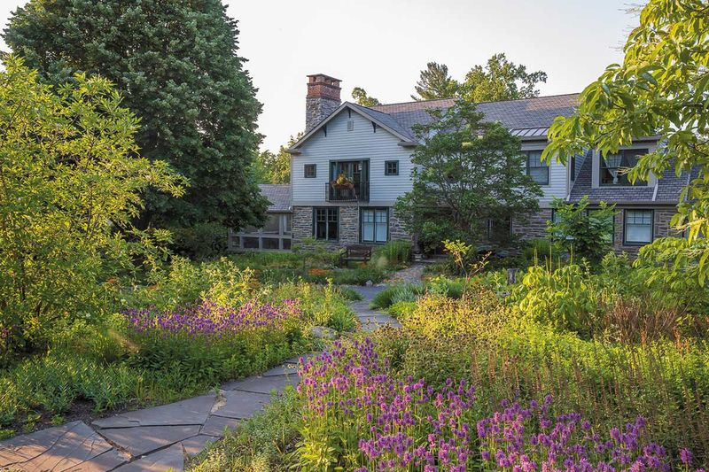 Native Plant Gardens That Thrive Without Fuss