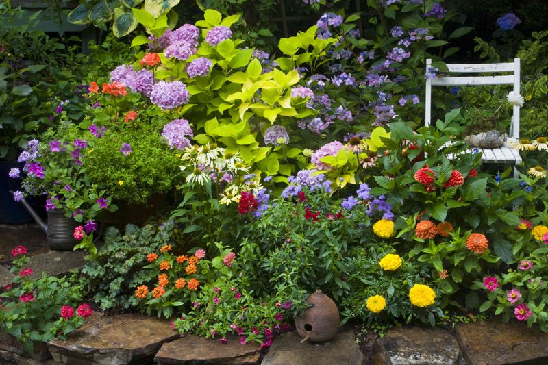 Cluttered Plant Zones