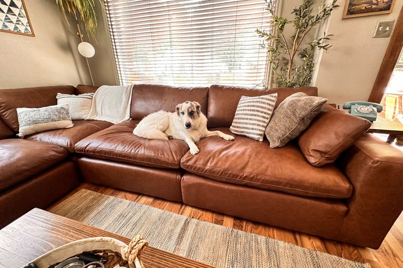 Comfortable Furniture