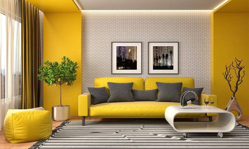Black And Sunshine Yellow
