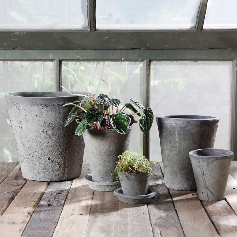 HomArt Rustic Terra Cotta Rose Pot – $15